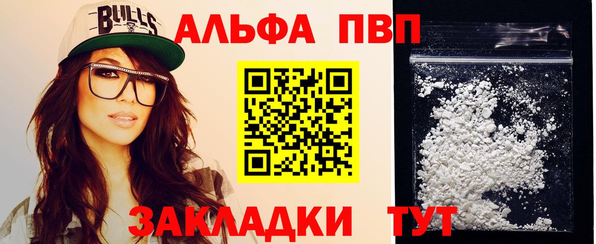 Альфа ПВП СК КРИС Дагестанские Огни