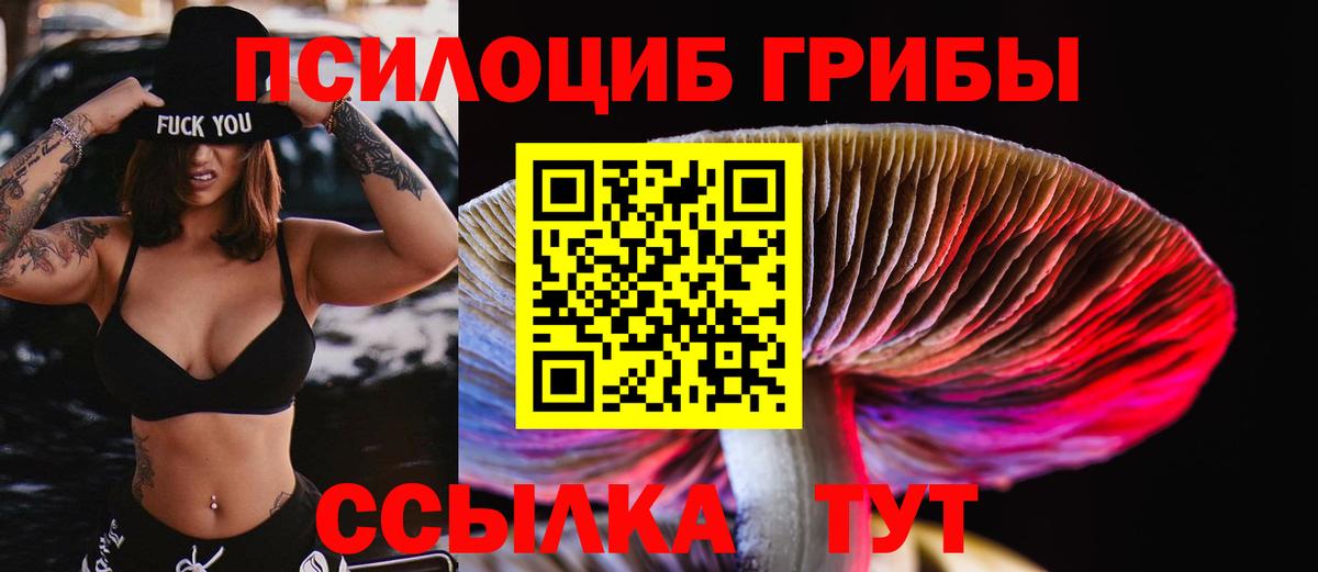 Псилоцибиновые грибы мицелий Дагестанские Огни